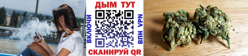 Бошки Шишки сатива  Купить где  Рославль 